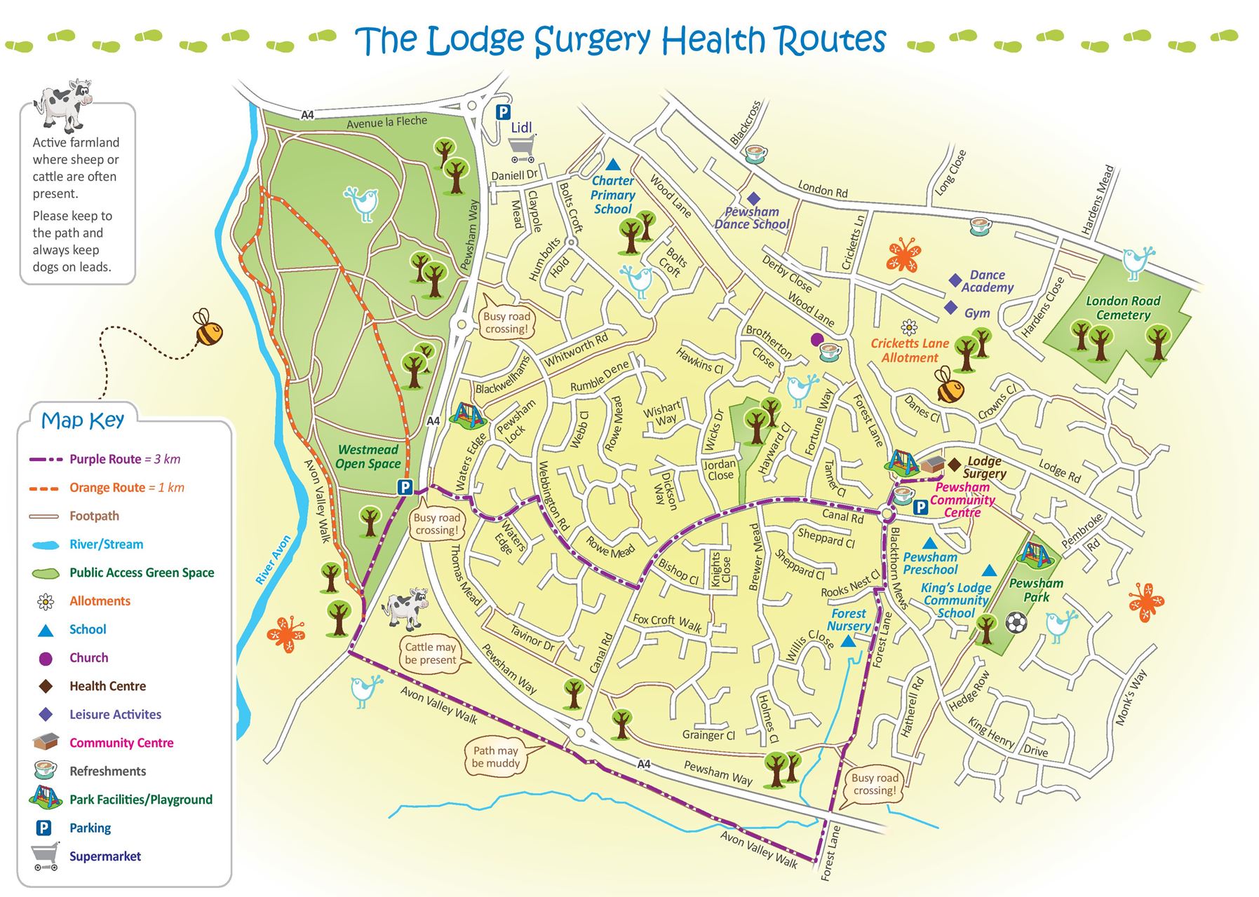 Health Route Map